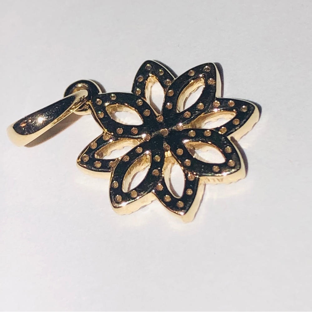 Authentic Pandora Solid 14k Gold Lace Botanique F… - image 8